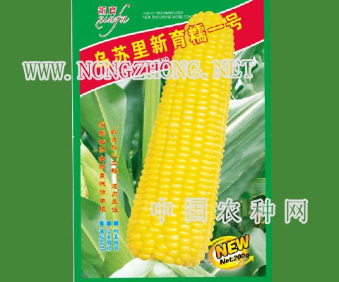 乌苏里新育糯一号